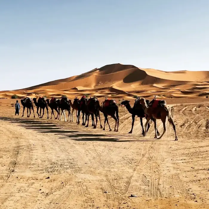2 days package from Marrakech to Merzouga